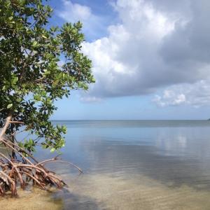 Photo de Guadeloupe Explor à Sainte-Anne