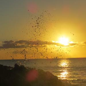 Photo de Guadeloupe Explor à Sainte-Anne