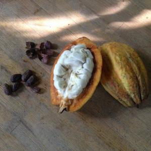 Photo de Guadeloupe Explor à Sainte-Anne
