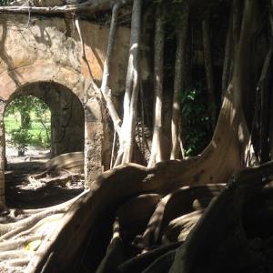 Photo de Guadeloupe Explor à Sainte-Anne