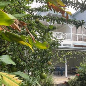 Photos de Le ti jardin caraibe enregistrées avec une avis