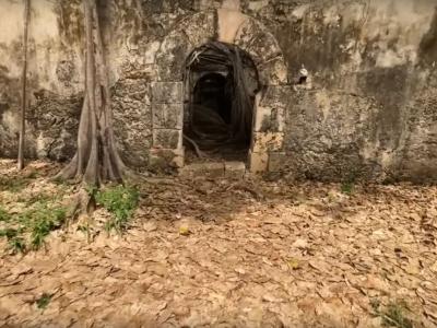 L'ancienne prison de petit-canal : le figuier maudit et la mémoire de l'esclavage
