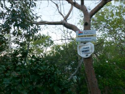 La plage naturiste de l'anse tarare à saint-françois