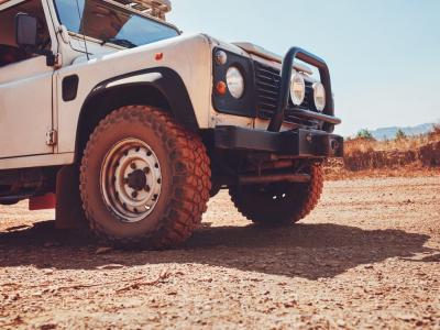 Jungle Safari Adventure