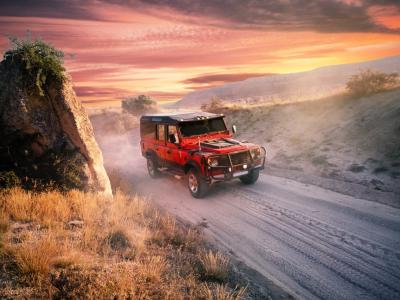 Jungle Safari Adventure