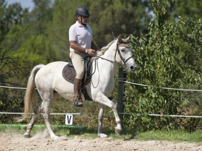 Le Domaine de Belle Plaine