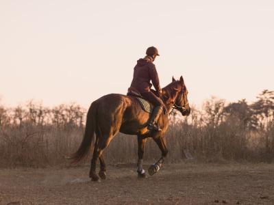Le Domaine de Belle Plaine