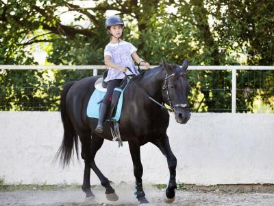 Habitation du Comté de Lohéac