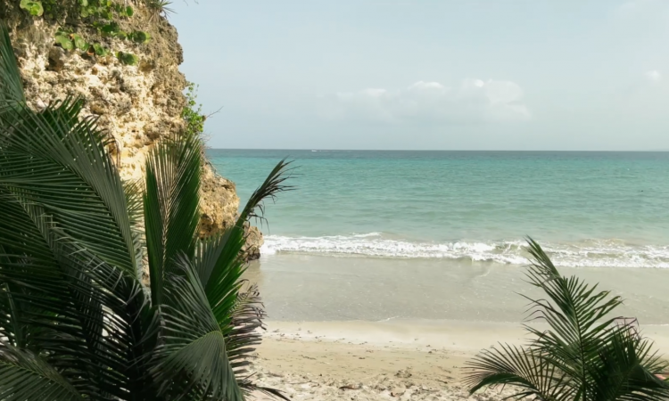 Plage secrète de Bas du Fort en Guadeloupe