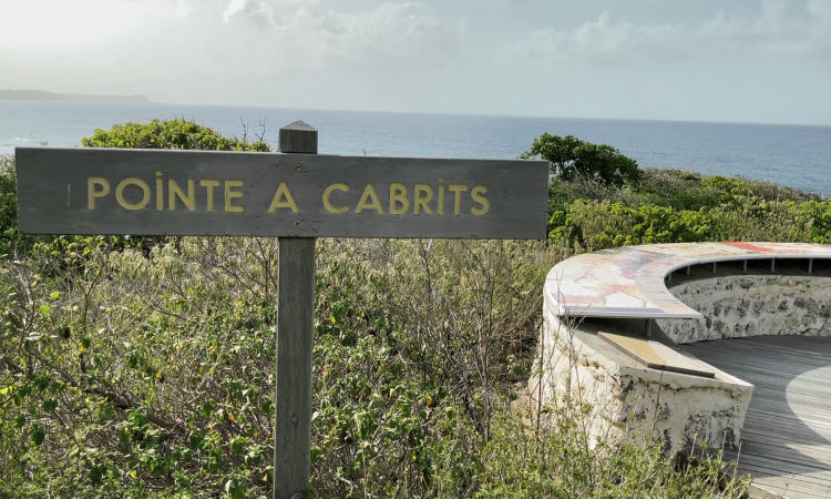Pointe à Cabrits - la randonnée en Guadeloupe