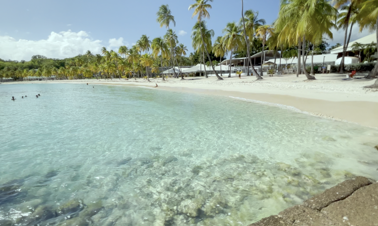 Des vacances inoubliables aux antilles pour votre fin d’année