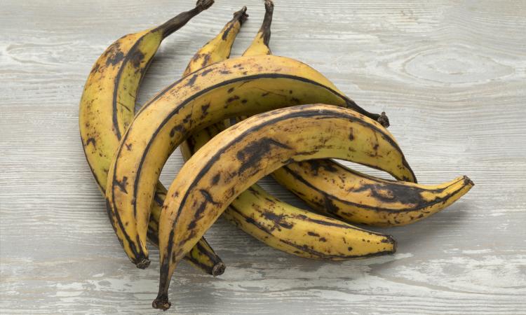 Présence de produit illicite dans les bananes plantains produites aux antilles