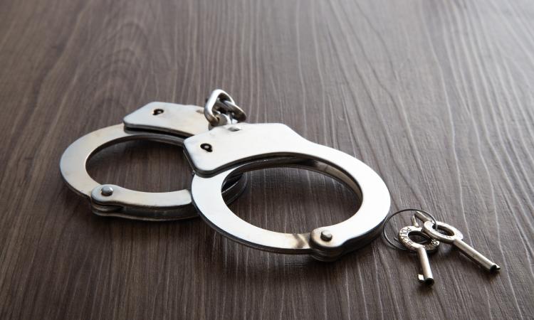 Opération internationale trigger vii : 510 arrestations dont 50 en guadeloupe