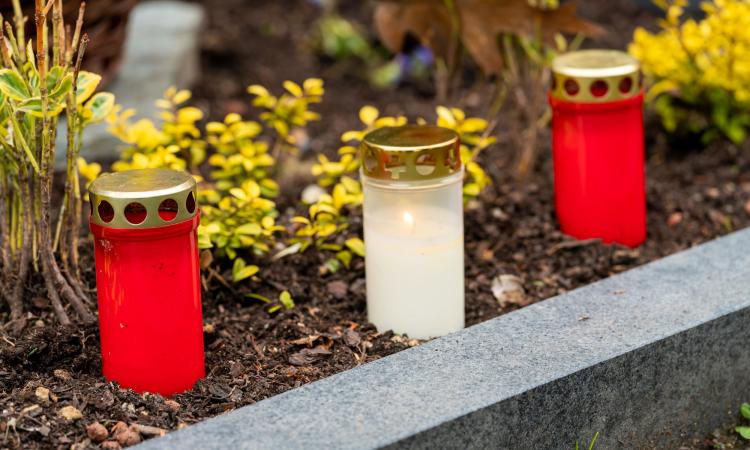 La toussaint en guadeloupe : une fête catholique, mais pas seulement !