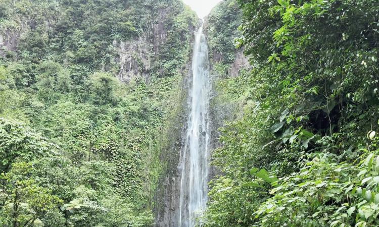 Les chutes du carbet : les cascades les plus réputées des îles de guadeloupe
