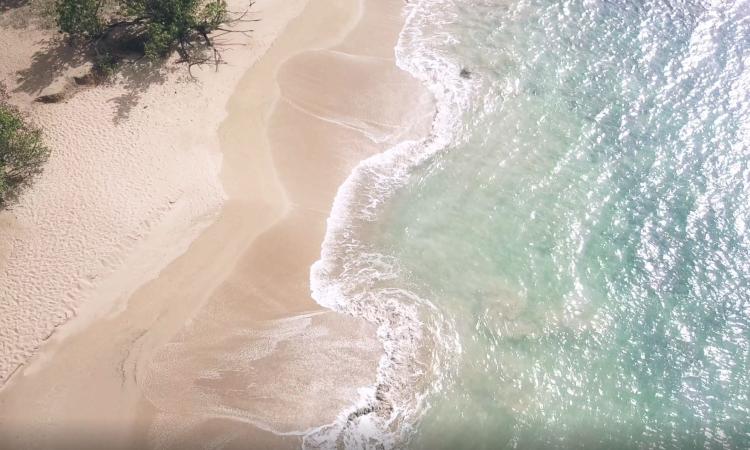 Les plages incontournables du nord basse-terre