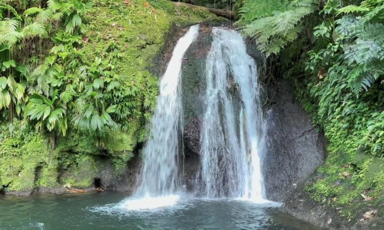 La cascade aux écrevisses