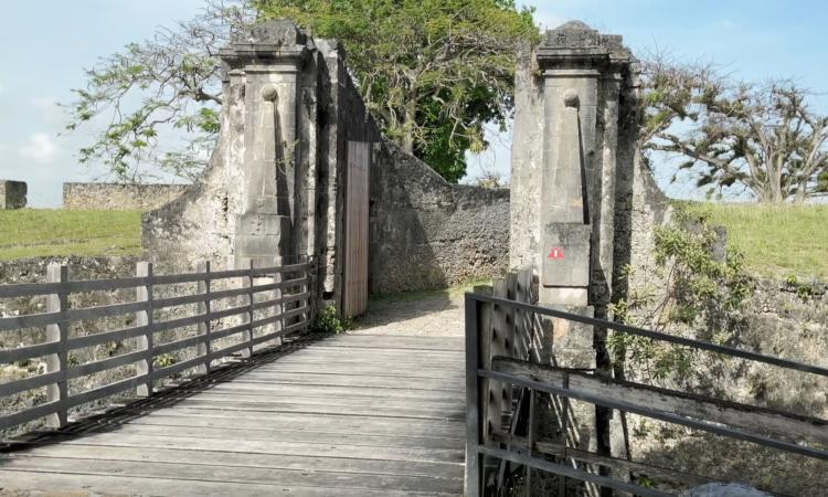 Le fort fleur d’épée à gosier