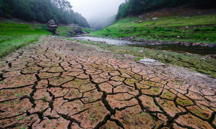 Sécheresse en guadeloupe : une restriction d’eau décrétée