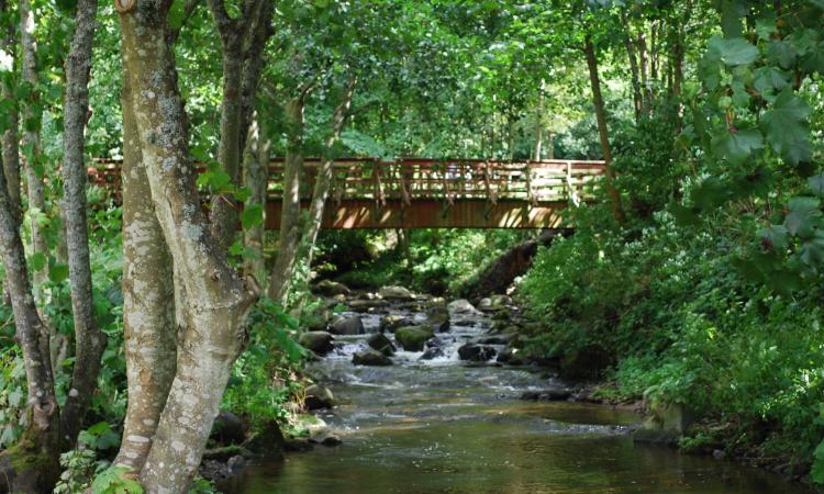 Journée mondiale de l’eau en guadeloupe