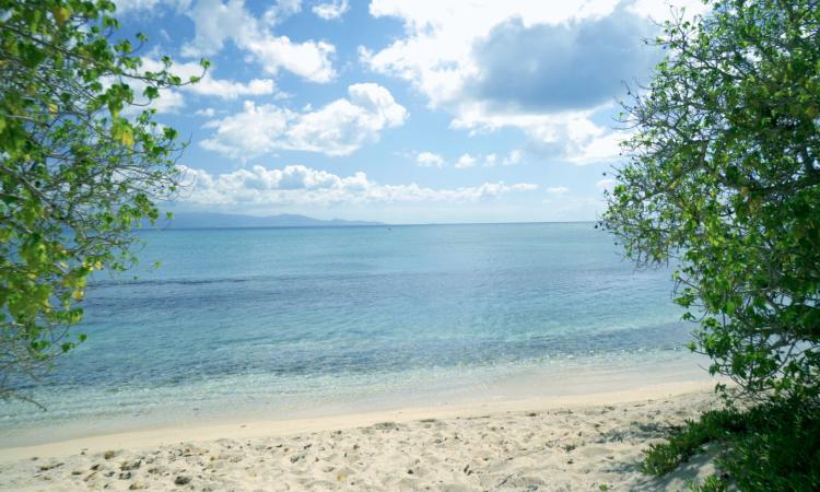 Les plages secrètes de guadeloupe : des joyaux cachés