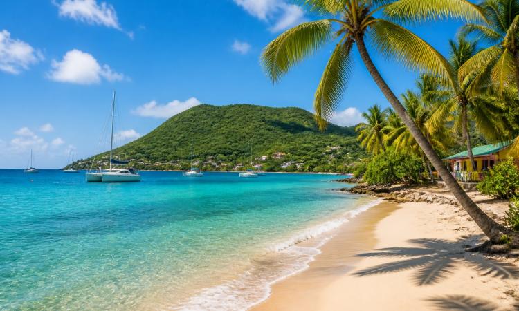 Quand partir en guadeloupe ? le climat et la météo mois par mois