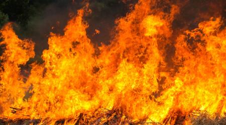 Important incendie à Sainte-Rose : des hectares de cannes en feu
