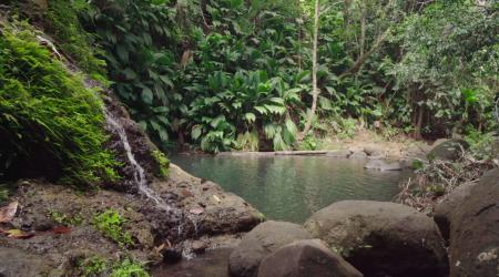 Cascade de Bis en Guadeloupe