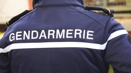Appel à témoins : la gendarmerie recherche un automobiliste impliqué dans un accident à Petit-Canal