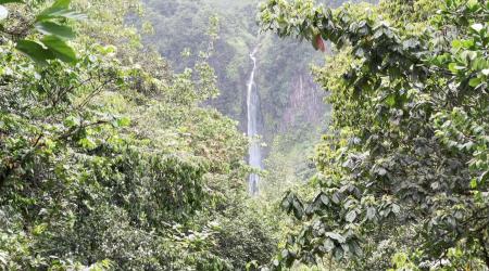 La beauté des cascades en Guadeloupe