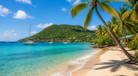 Quand partir en Guadeloupe ?