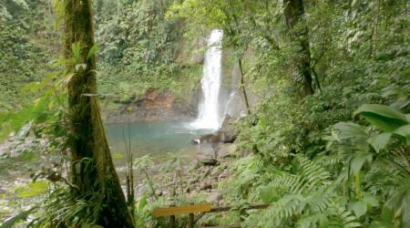 La Troisième Chute de la rivière du Grand Carbet