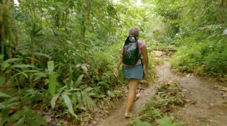 La Troisième Chute de la rivière du Grand Carbet
