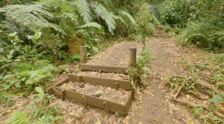 La Troisième Chute de la rivière du Grand Carbet