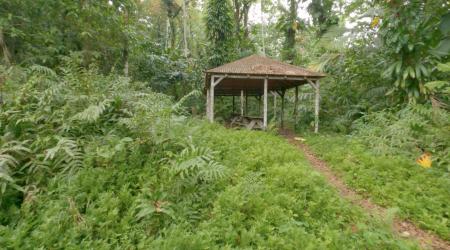 La Troisième Chute de la rivière du Grand Carbet