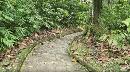 La Cascade aux Écrevisses