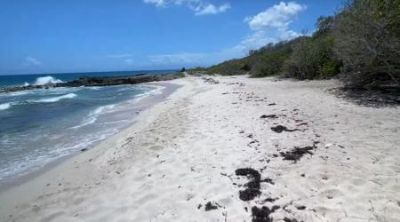La Douche, une plage insolite de Guadeloupe