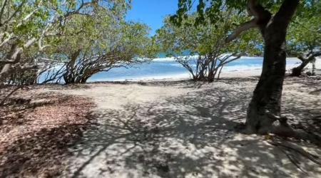 La Douche, une plage insolite de Guadeloupe