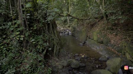 Notre Dame des Larmes à Pointe-Noire
