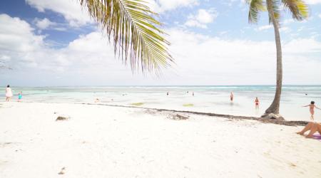 plage de Bois Jolan Guadeloupe