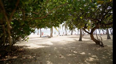 plage de Bois Jolan Guadeloupe