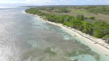 plage de Bois Jolan Guadeloupe
