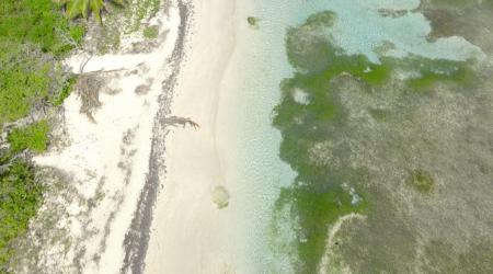 plage de Bois Jolan Guadeloupe
