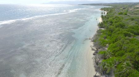 plage de Bois Jolan Guadeloupe