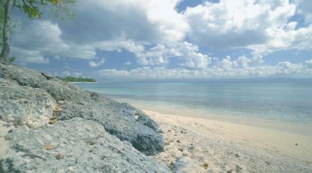 Une plage paradisiaque de Guadeloupe