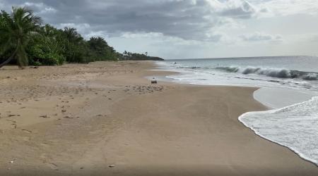 plage nord basse terre