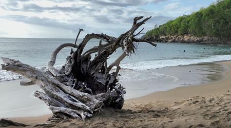 plage nord basse terre