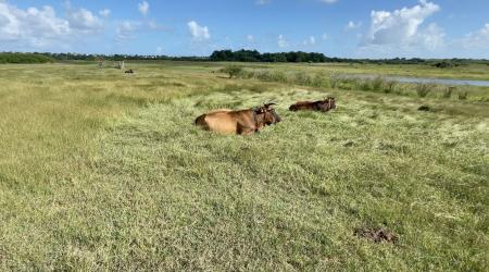 La réserve d’eau de Gaschet