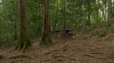 Découverte du Saut des 3 Cornes