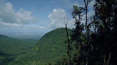 Découverte Mamelle de Pigeon
